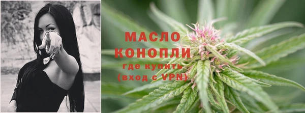 молекула духа Осинники