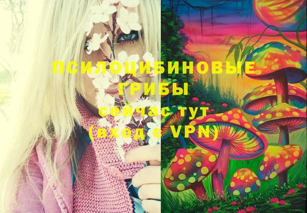 молекула духа Осинники