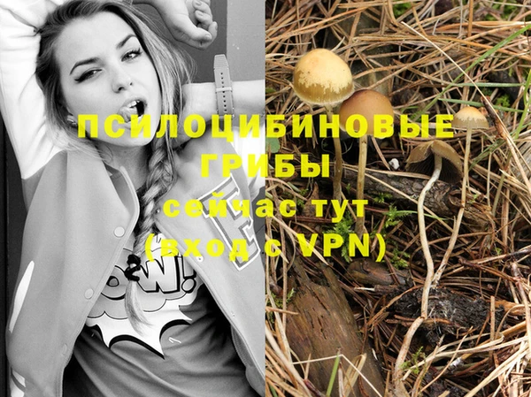 молекула духа Осинники