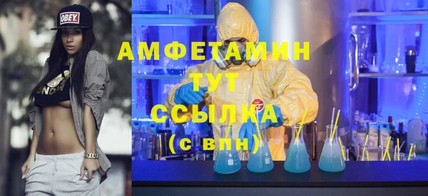 молекула духа Осинники