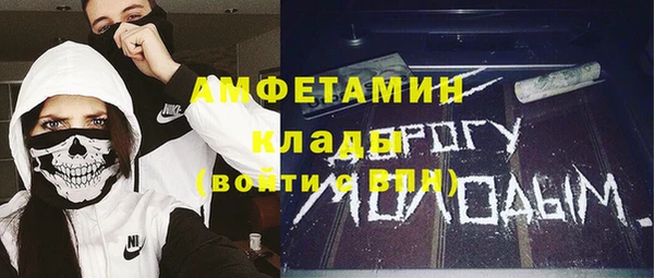молекула духа Осинники