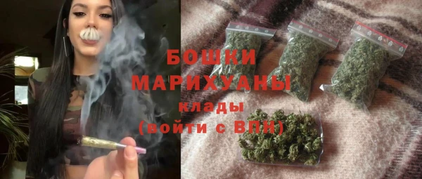 молекула духа Осинники