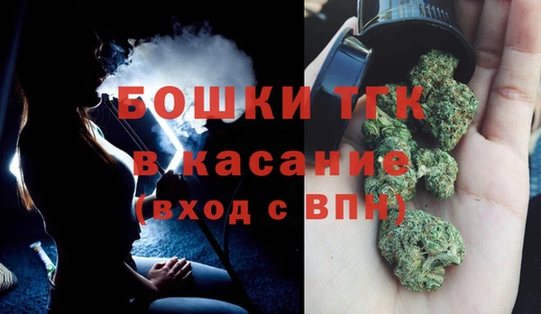 молекула духа Осинники